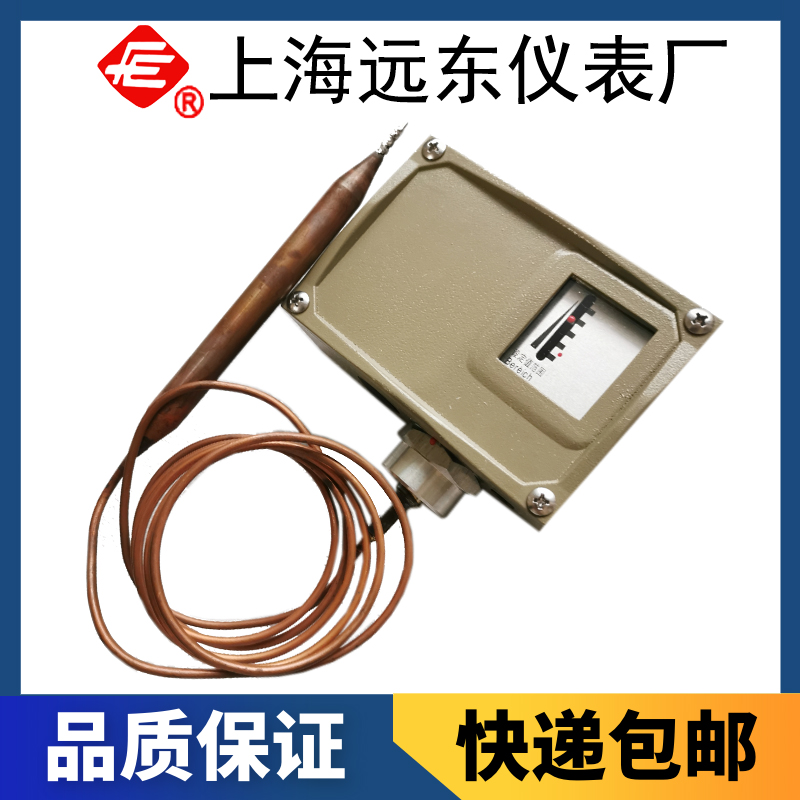 D541/7T系列防爆型溫度控制器